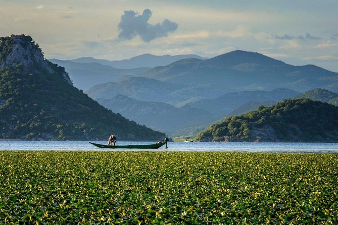 Skadar Lake Boat Ride Through Montenegrin Amazon, Wine Tasting & Niagara Falls