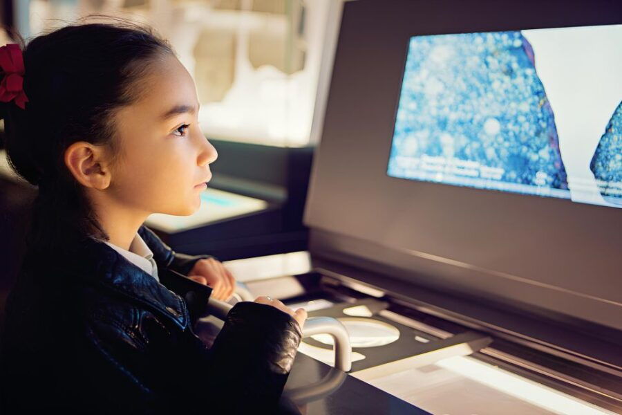 Skip the Line Museum of Natural Sciences Turin and Lunch - Ticket Details