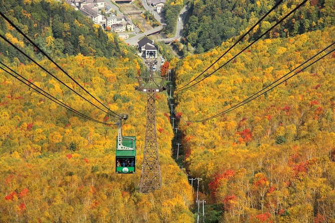 SkyExpress: Autumn Sounkyo Customised Private Day Tour (Up to 15 Passengers)