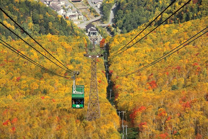 SkyExpress: Autumn Sounkyo Customised Private Day Tour (Up to 8 Passengers) - Good To Know