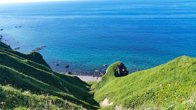 SkyExpress: Shakotan Peninsula Customised Private Day Tour (Up to 3 Passengers) - Good To Know