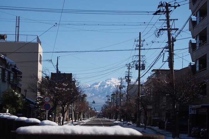 Small Group Sightseeing Tour Visit to Toyama With Lunch Included