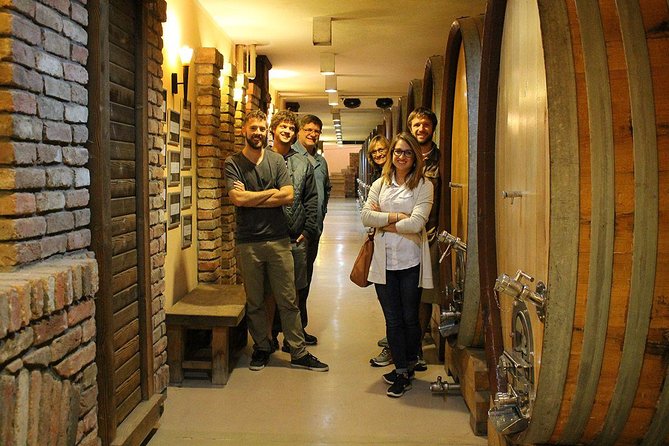 Small Group Wine Tour in Sumadija Wine Region