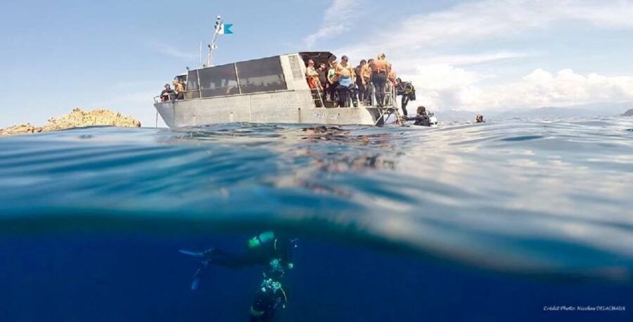 Snorkeling - Snorkeling - Guided Exploration of Marine Life