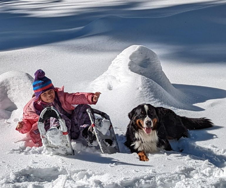 Snowshoe Rentals and Self Guided Tour on Private Trails