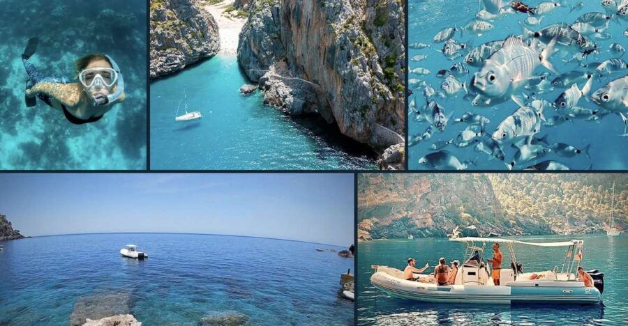 Soller: Private Boat Tour With Skipper
