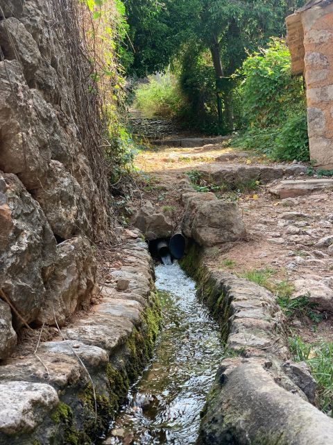 Soller Valley Walk: Small Villages and Citrus Farm Visit