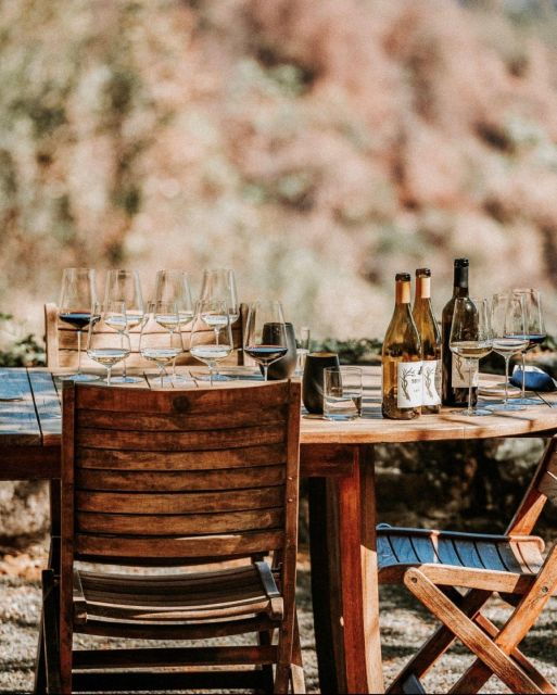 Sonoma: Explore Natural Wineries With a Local Sommelière - Full Description