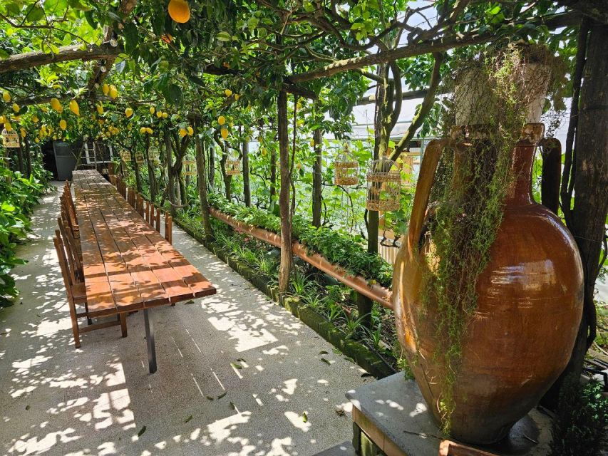 Sorrento Coast E-Bike Tour and Visit at Vinegar Cellar - Itinerary Details