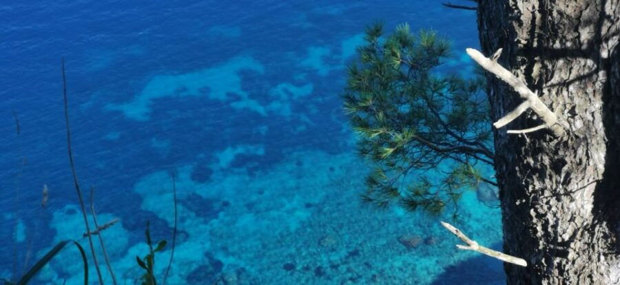 Sorrento Exclusive Private Boat Tour in the Land of Mermaids - Tour Description