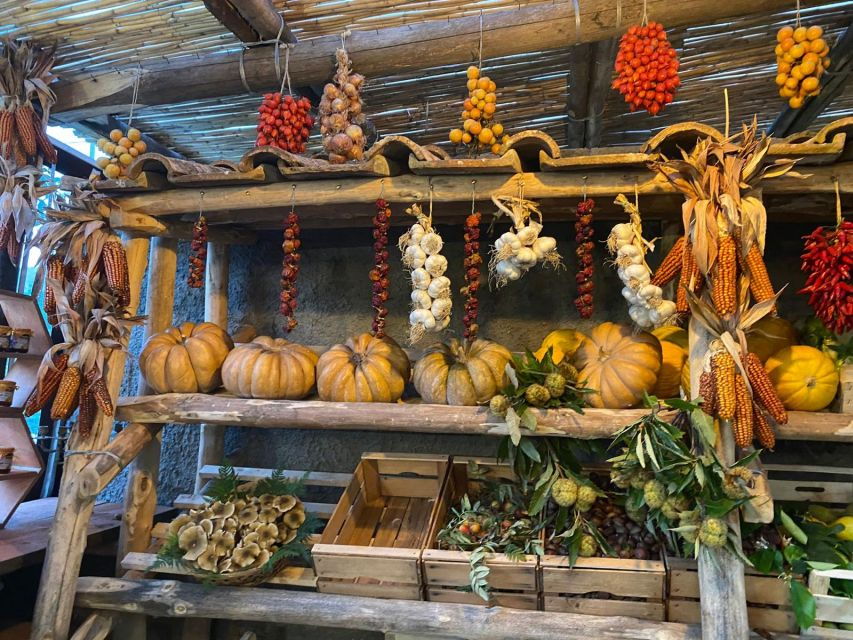 Sorrento: Guided Tour of the Largest and Older Lemon Grove - Tour Highlights