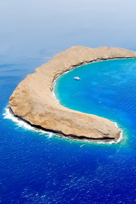 South Maui: Molokini Wild Eco Adventure From Maalaea Harbor