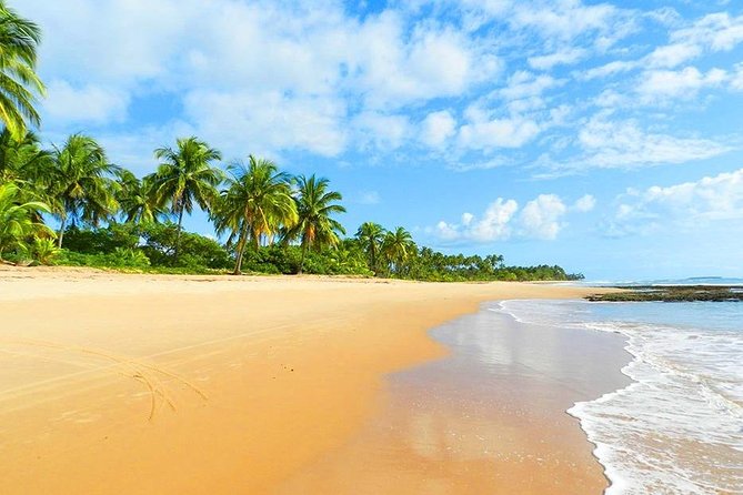 South of Bahia Tour - Private Multi Day Tour - Good To Know