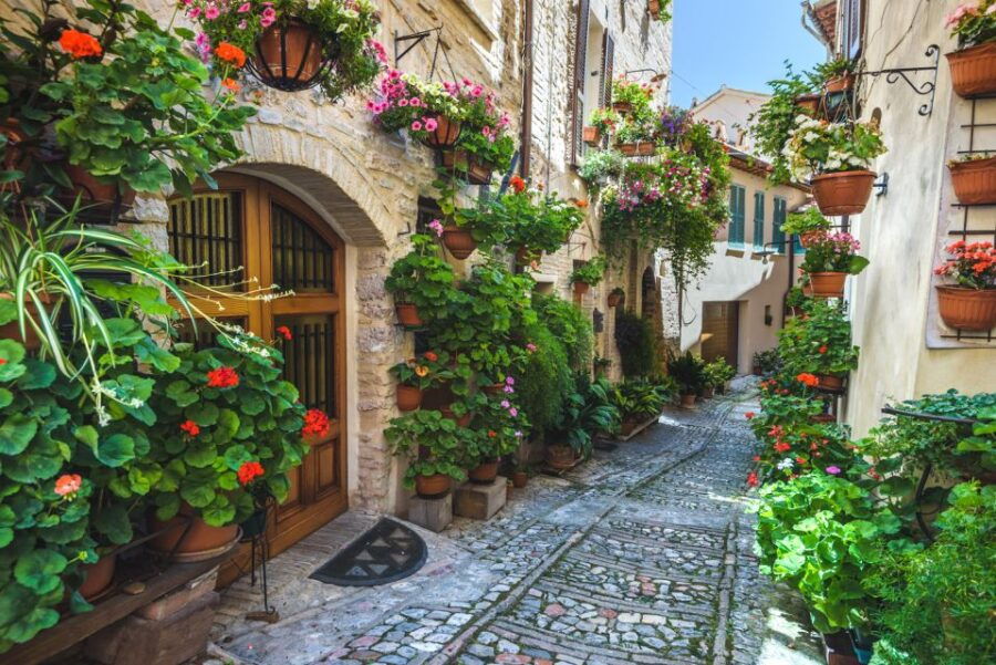 Spello: Old Town Guided Walking Tour