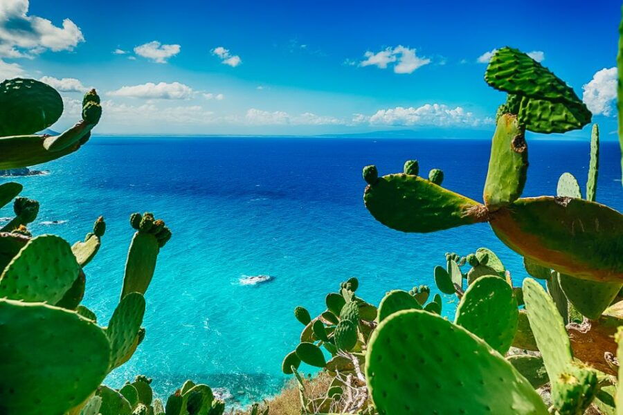 Spicy Calabria: Guided Half-Day Tour to Tropea/Capo Vaticano - Pricing Details