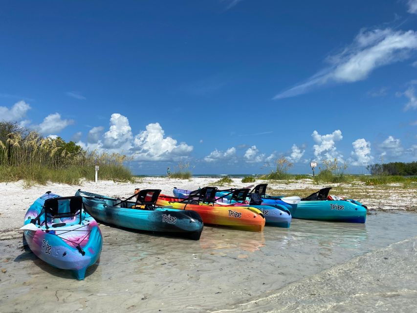 2 Best Canoe And Kayak Experiences In Tierra Verde Florida