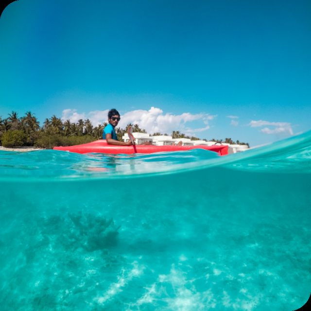 3 Best Canoe And Kayak Experiences In St Petersburg Florida