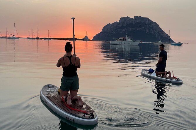 Stand up Paddle With Dolphins Experience Sunset and Aperitif - Good To Know