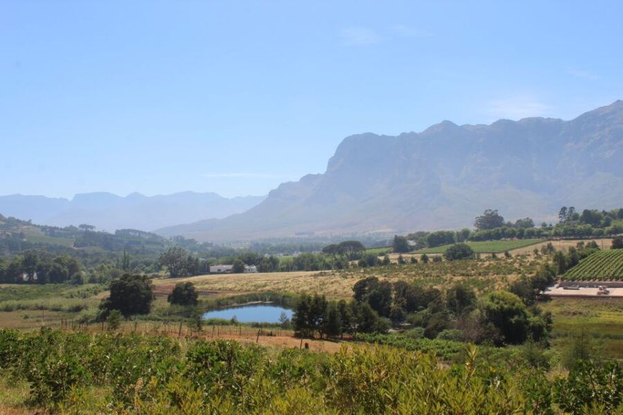 Stellenbosch: Countryside Banhoek Valley E-Bike Wine Tour - Tour Details
