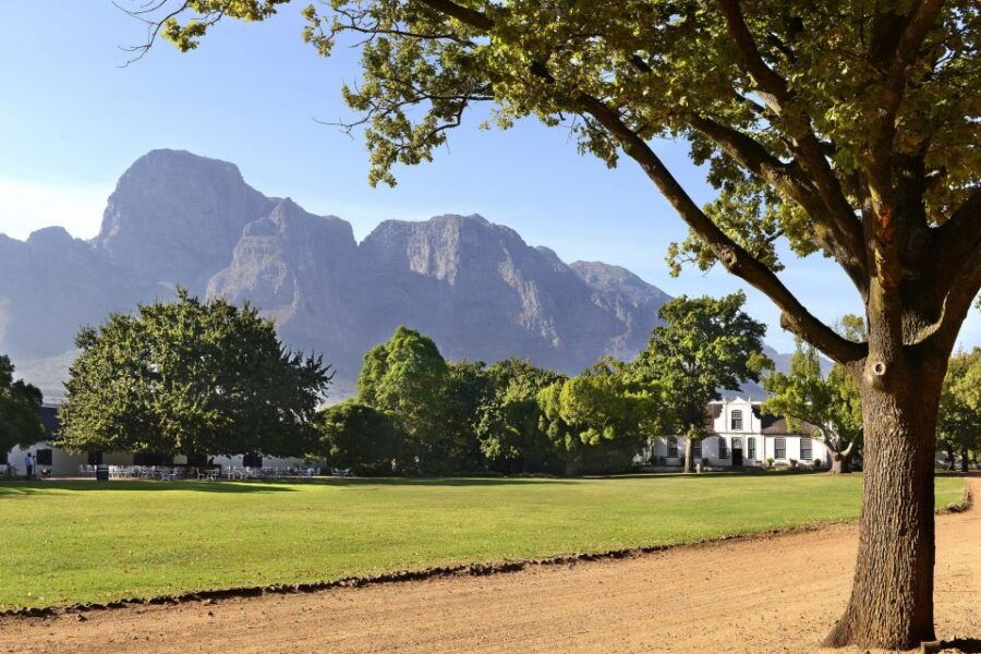 Stellenbosch: Eastern Route Hop-On Hop-Off Wine Tour - Highlights