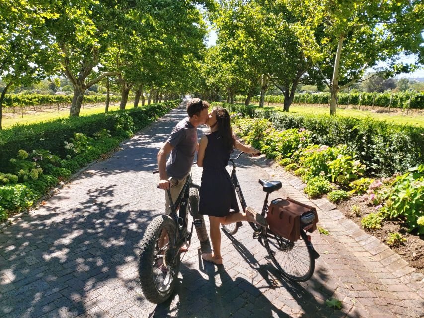 Stellenbosch: Wine Farm E-Bike Guided Tour