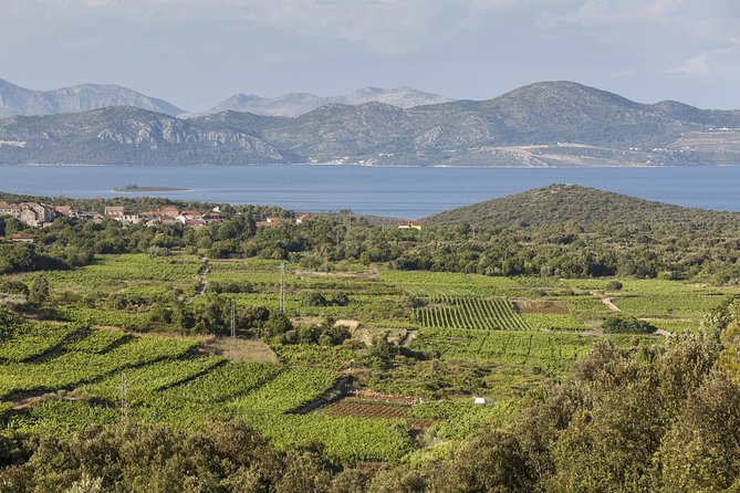 Ston and Peljesac With Wine Tasting Private Tour - Good To Know