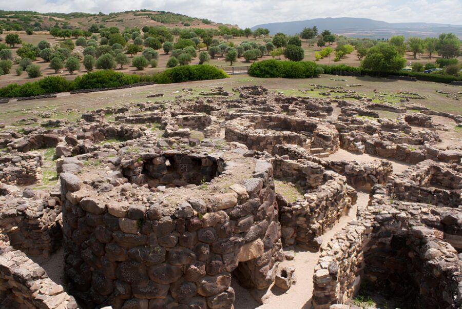 Su Nuraxi and Olianas Winery Tour With Cellar Lunch - Experience Insights