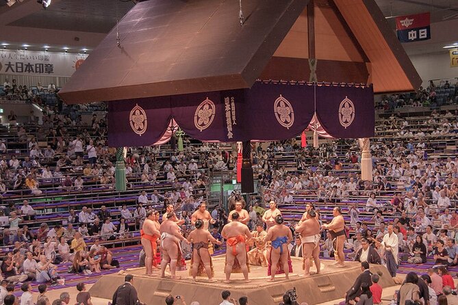 Sumo Tournament Experience in Nagoya 2024