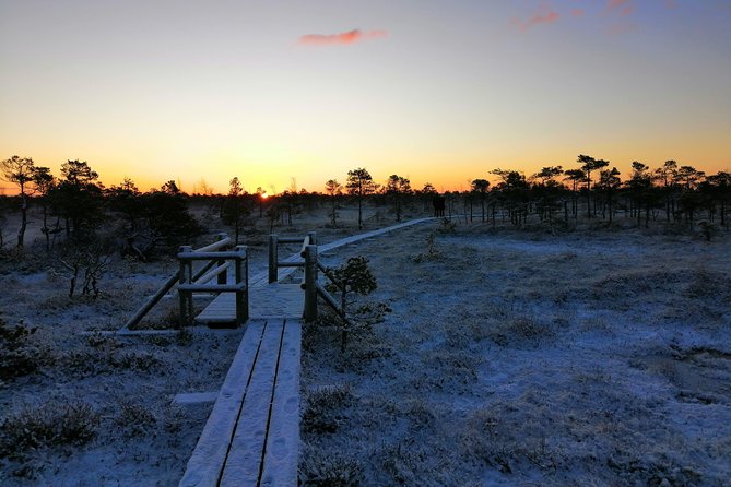 Sunrise at Kemeri National Park + Jurmala - Good To Know