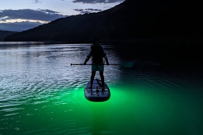 Sunset and Light up Stand-Up Paddle With a Certified Guide - Good To Know