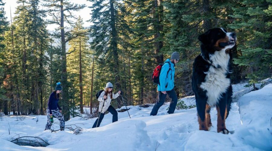 Sunset Snowshoe Guided Hike