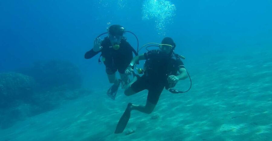 Syracuse : Scuba Diving for Beginners in the Plemmirio Area - Language and Group Size Information
