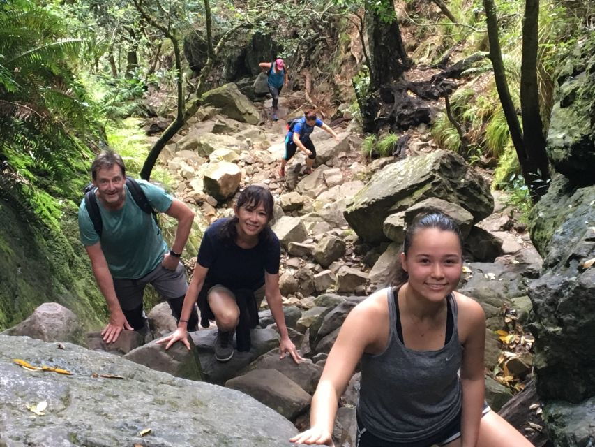 Table Mountain Hike With Local Tour Guide