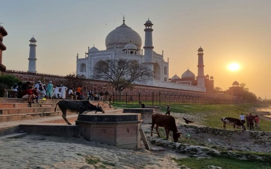 Taj Mahal Experience Guided Tour With Lunch at 5-Star Hotel - Itinerary