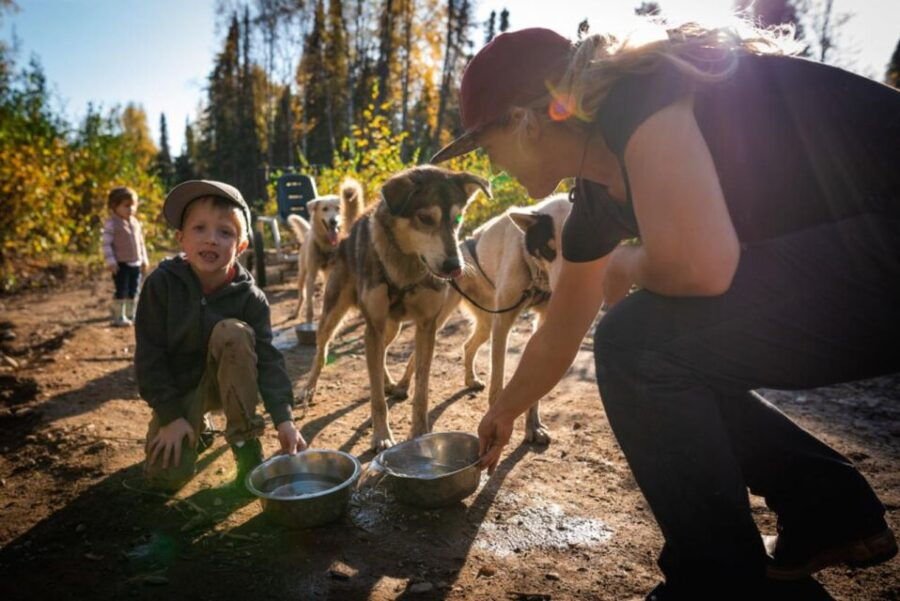 Talkeetna: Mushing Experience With Iditarod Champion Dogs - Good To Know