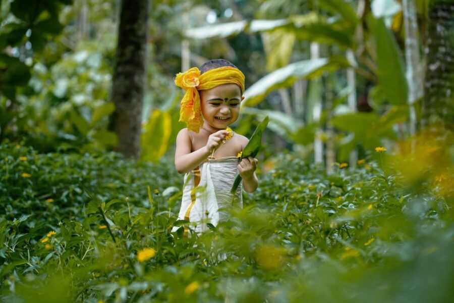 Tamilnadu, Kerala & Karnataka With 4 Star Hotels !!