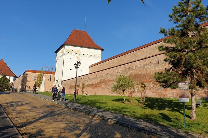 Targu Mures 3 Hours Walking Tour - Tour Highlights