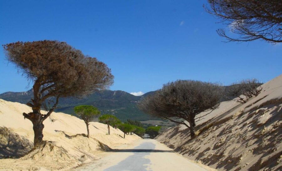Tarifa: Ebike Rental From Bolonia - Good To Know