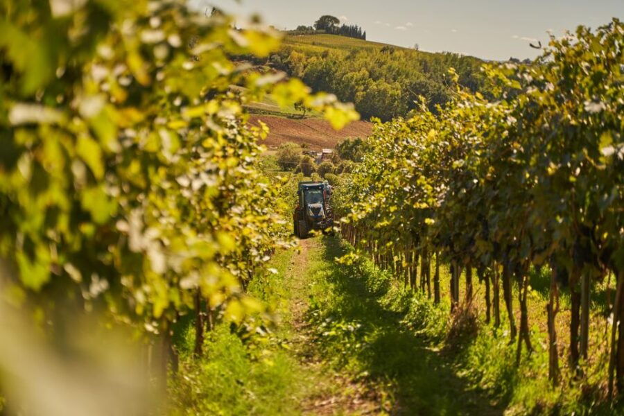 Tasting and Tour Vino Nobile Di Montepulciano