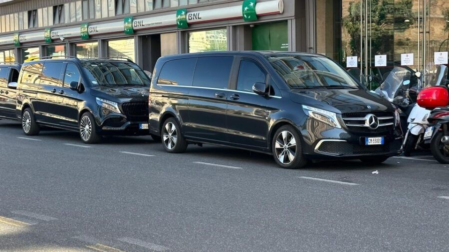 Taxi From Port Civitavecchia Cruise to Airport Fiumicino - Booking Process