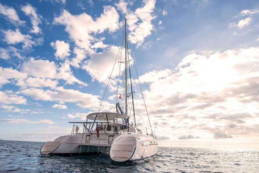 Tenerife: Catamaran Sailing Trip With Snorkeling and Lunch - Good To Know
