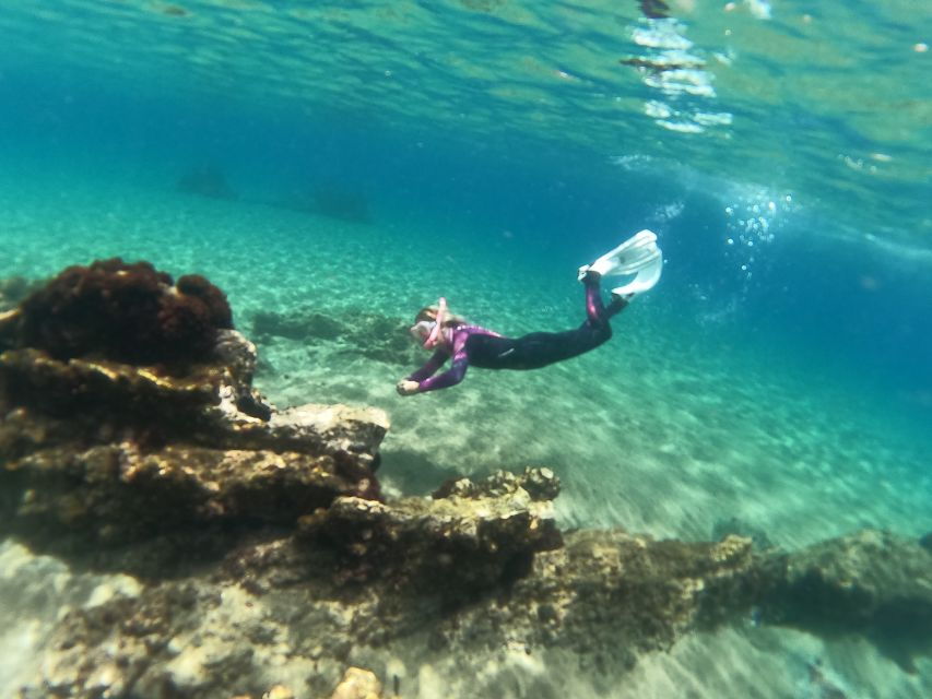 Tenerife: Half-Day Snorkeling Tour - Good To Know