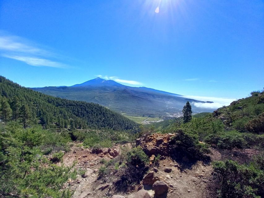 Tenerife: Hiking Above the Village of Masca - Good To Know