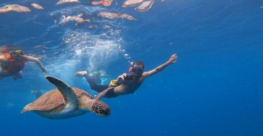Tenerife: Kayaking Tour With Snorkeling