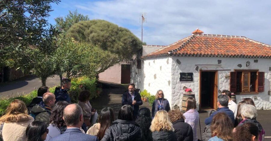 Tenerife: Local Wine Tour & Taste