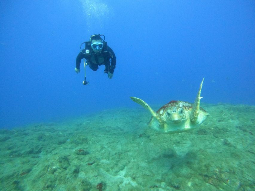 Tenerife: PADI Advanced Open Water Diver Course