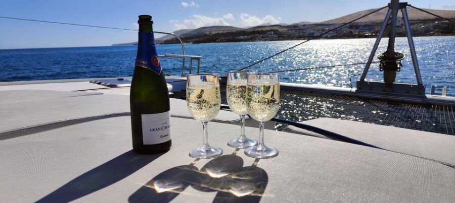 Tenerife: PRIVATE Catamaran Cruise With Lunch and Drinks