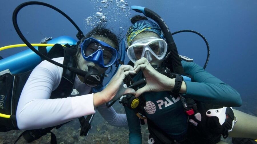 Tenerife: Private Scuba Diving Experience With Photos