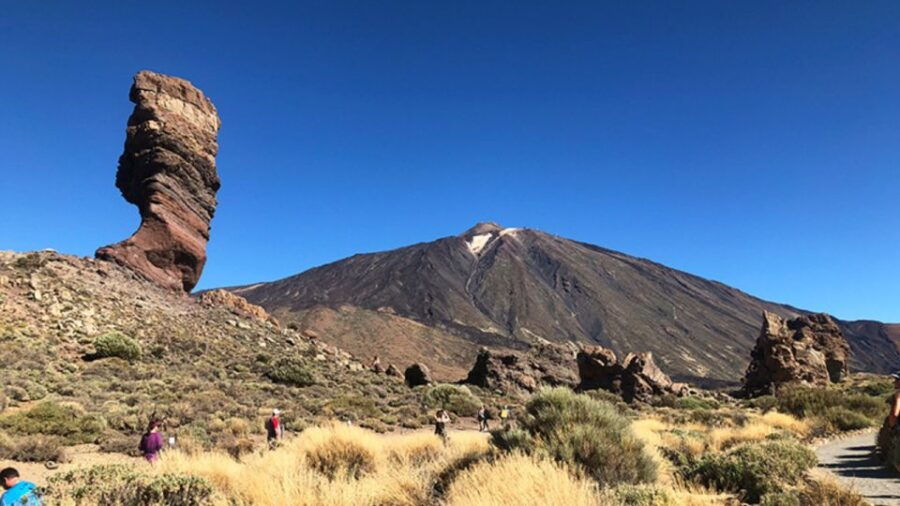 Tenerife: Teide National Park Guided Full-Day Trip by Bus - Itinerary