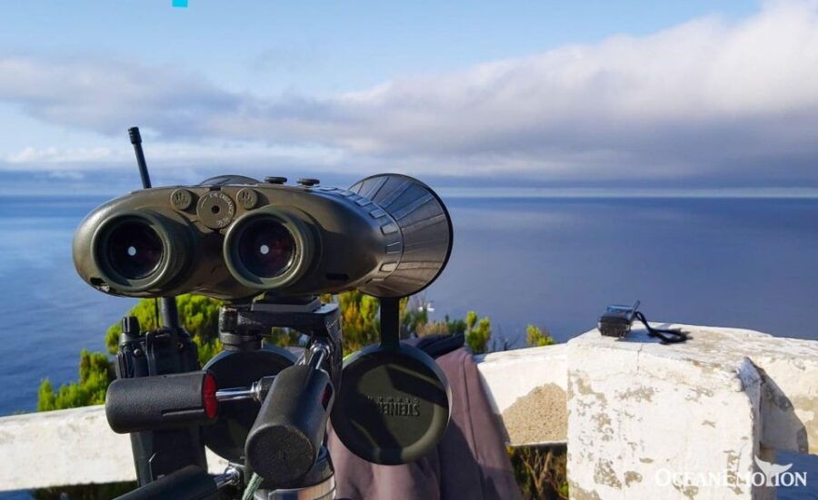 Terceira Island : Whale and Dolphin Watching Boat Excursion - Customer Reviews